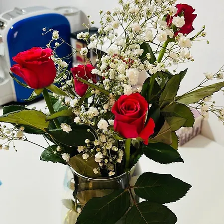 Arena 023091-loc-04288 Apartman